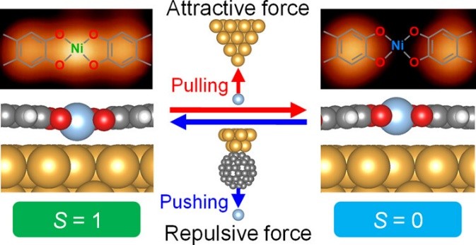 Regulation of Reaction Pathways in Coordinated Chains by Directional Mechanical Force