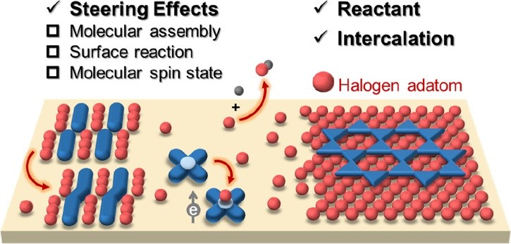 The Multifaceted Roles of Halogen Adatoms in Surface Chemistry