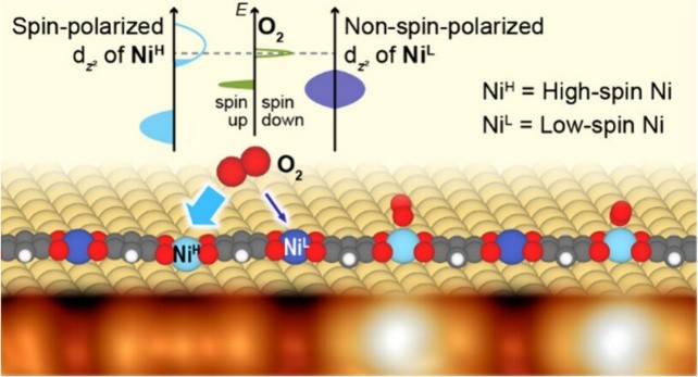 Spin-Modulated O2 Adsorption on Surface-Constructed Metal–Organic Chains
