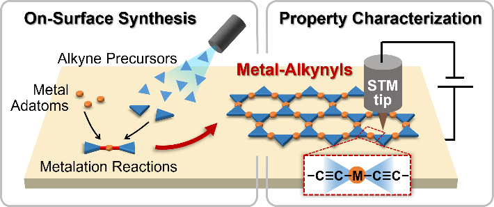 Low-Dimensional Metal-Alkynyls: On-Surface Synthesis and Properties