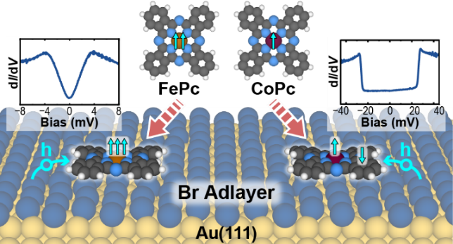 Atomic Bromine Layer as a Hole-Doping Decoupling Adlayer for Molecular Spin Modulation