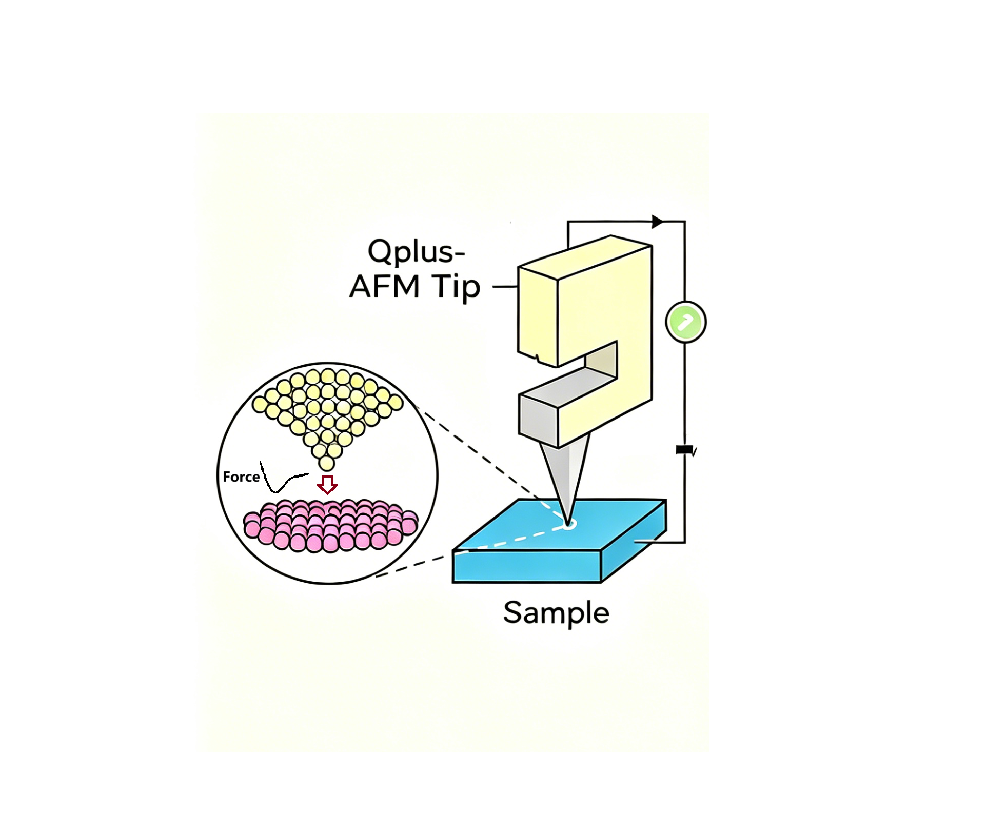 原子力显微镜（AFM）